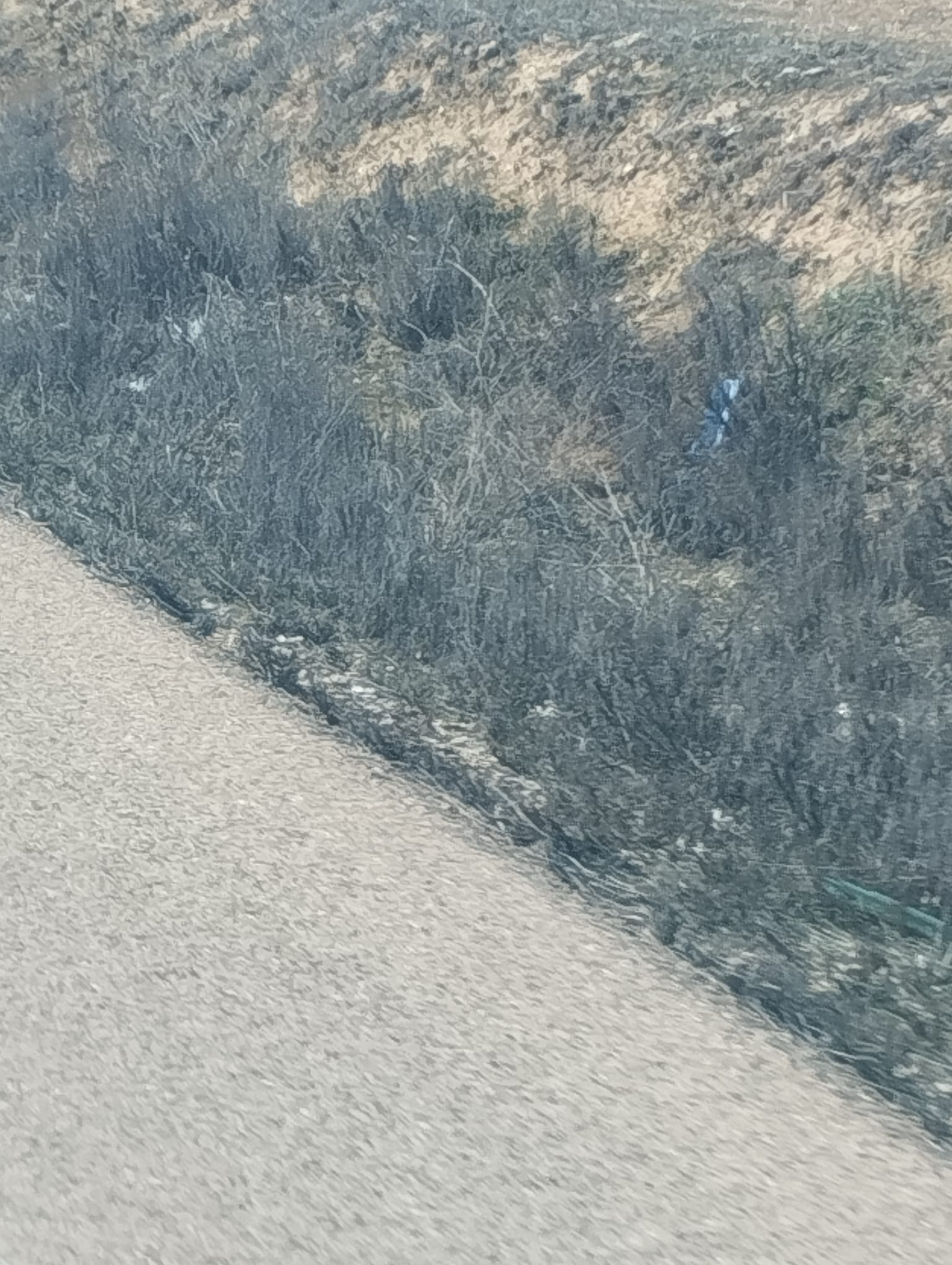 Estado antes de Limpiando Caminos - Camino rural deteriorado 4